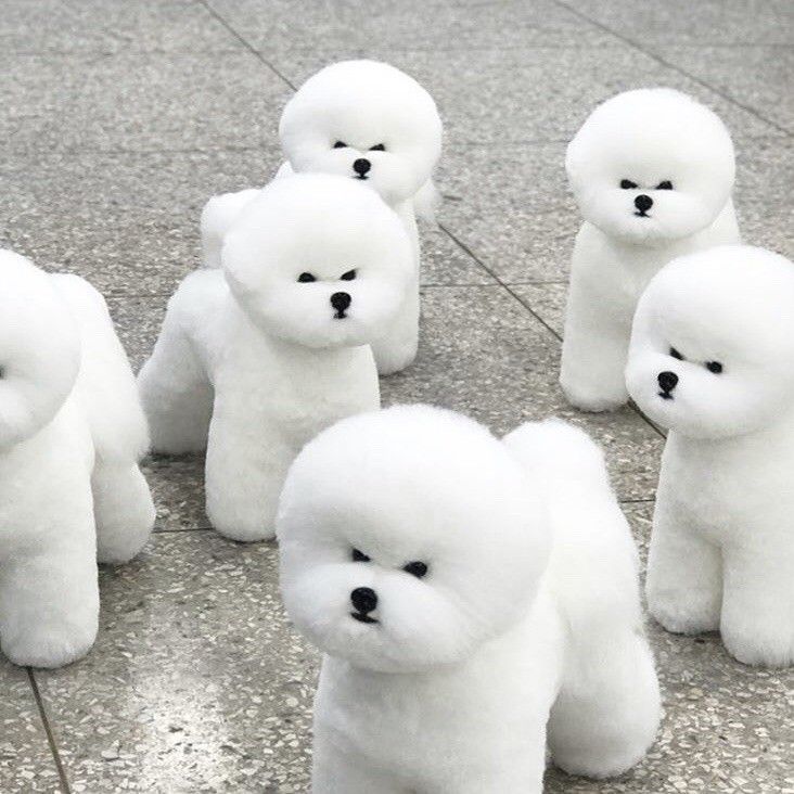 벤자민 tweet media