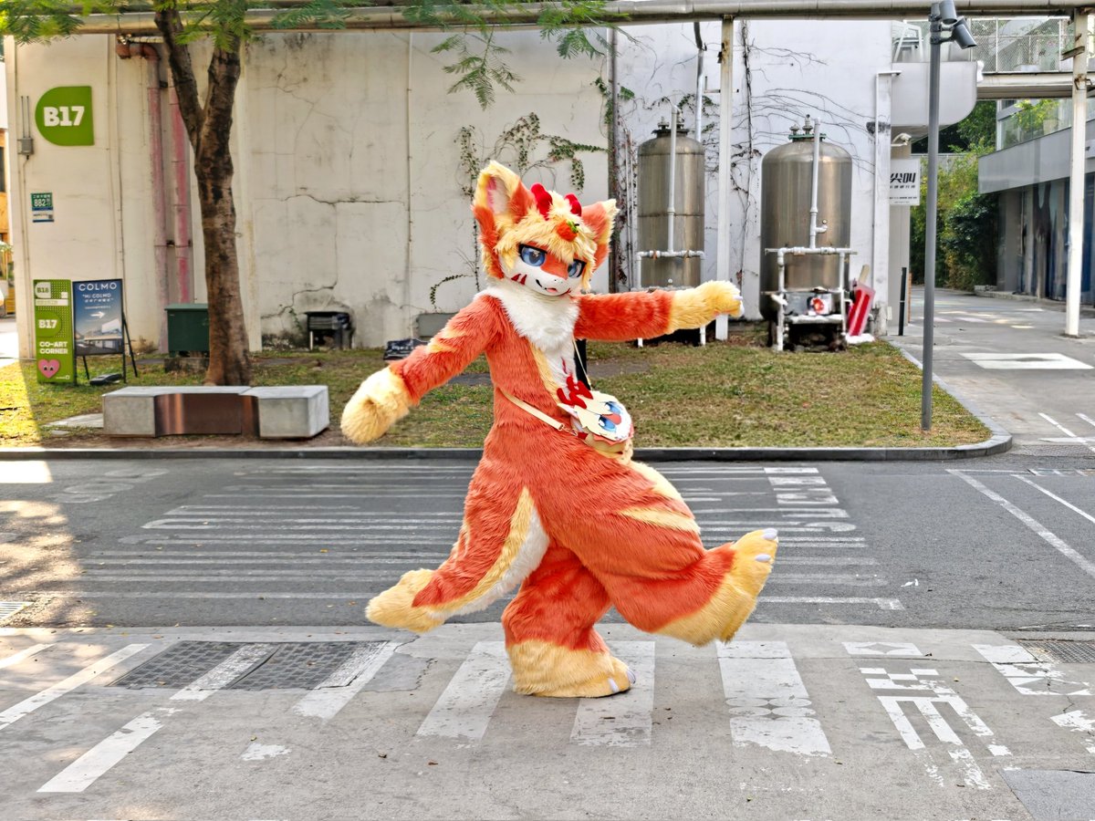 毛绒绒的逸龙 tweet media