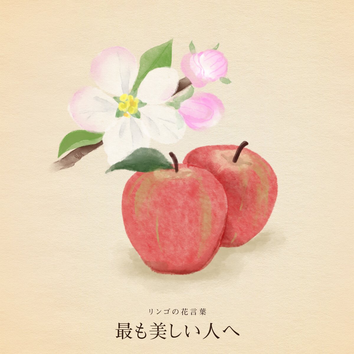 はな言葉🌷葉菜桜花子🌷新刊発売 tweet media