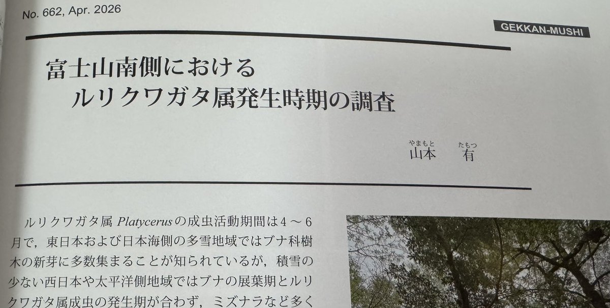 大巨神 tweet media