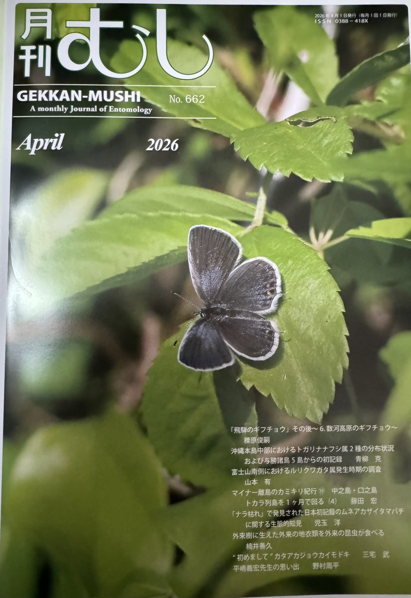 大巨神 tweet media