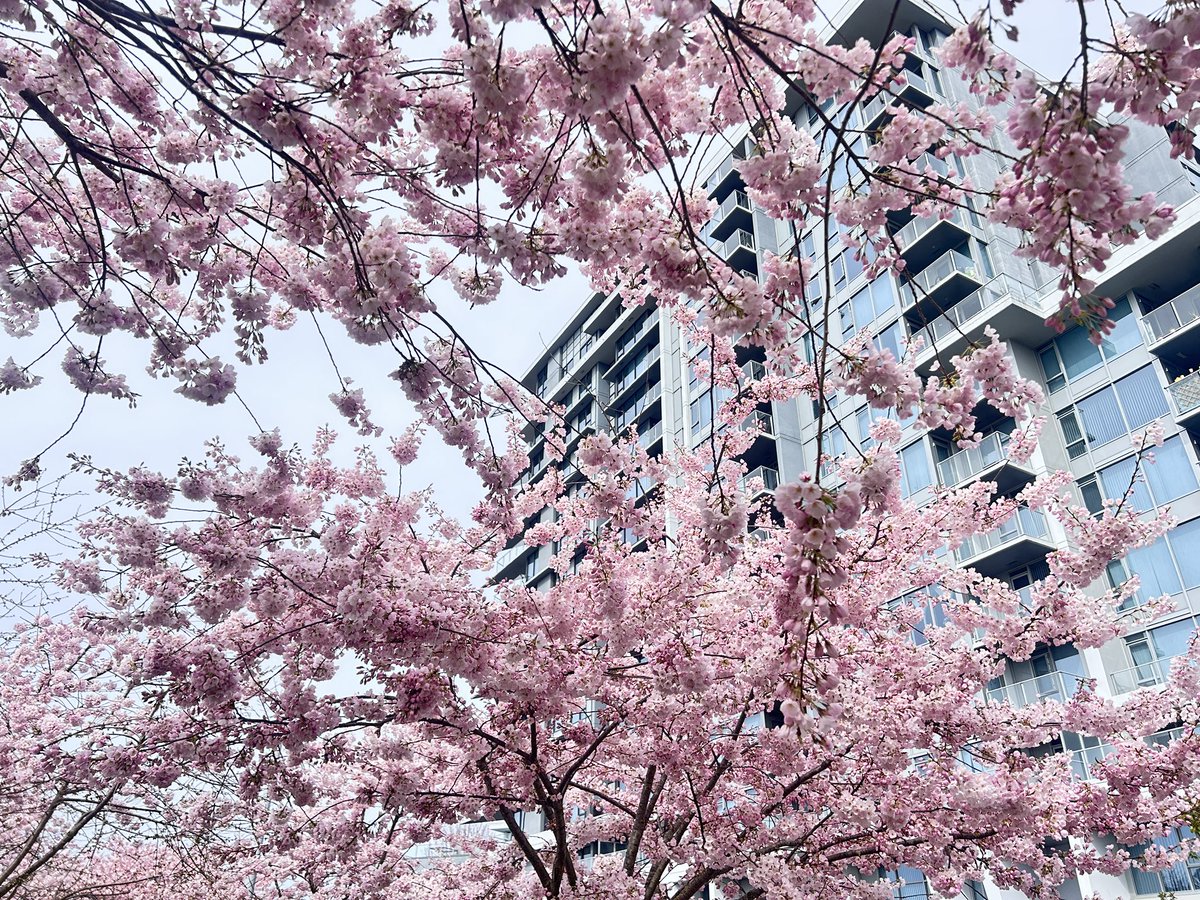 rei ♡ rzrs' angel 🩵🪽 tweet media