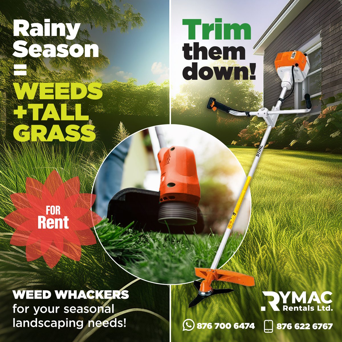 RymacRentals's tweet photo. The rainy months at the start of the year can make your grass look like a jungle. Tame the chaos with heavy duty weed-whackers from Rymac! Rent yours today! https://t.co/r3v8joWdiT