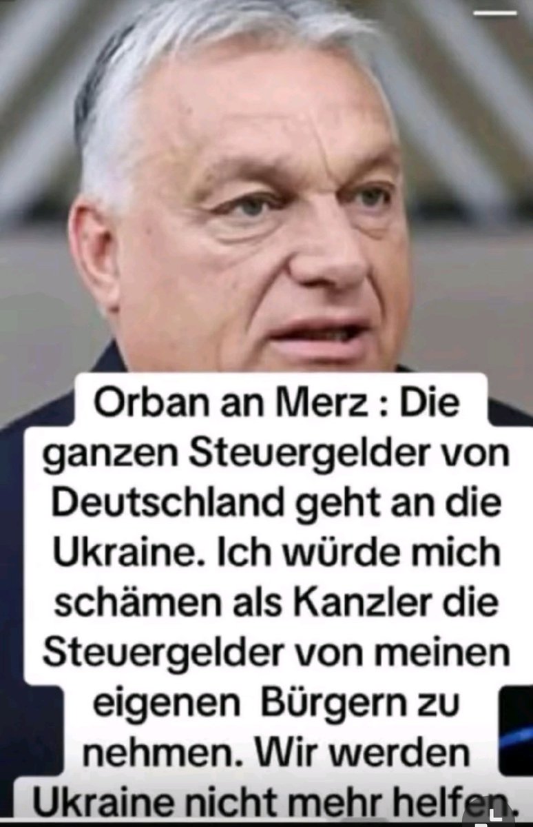 Berenice tweet media