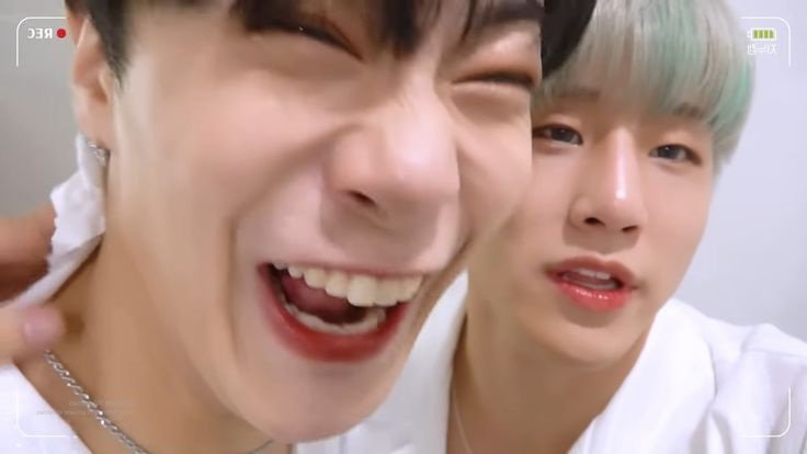 mjdogfoodbowl tweet media