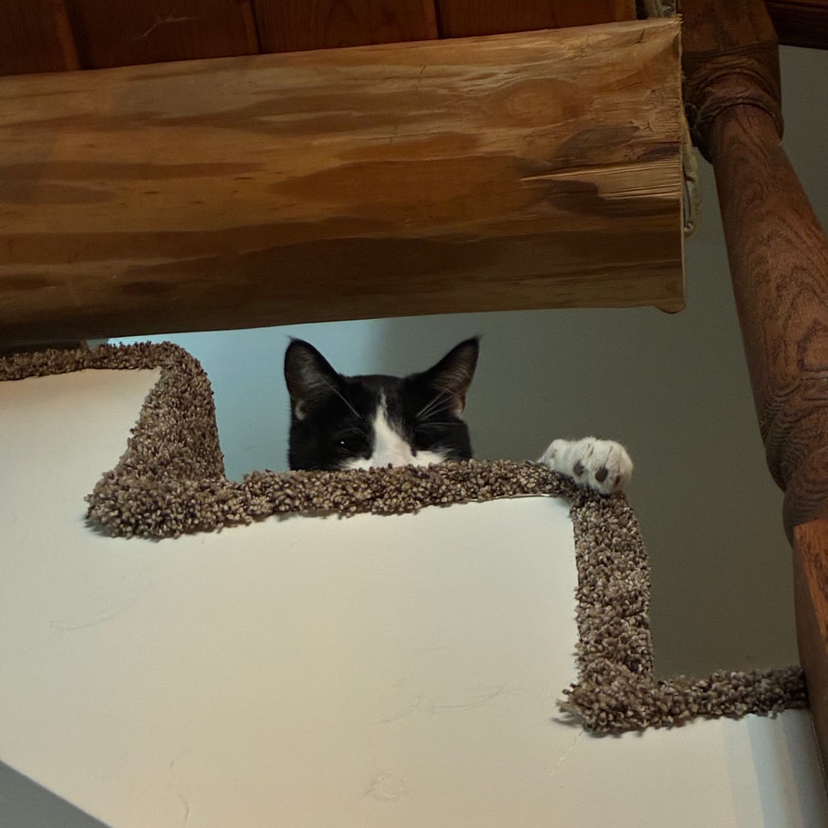 Jim Gosling tweet media