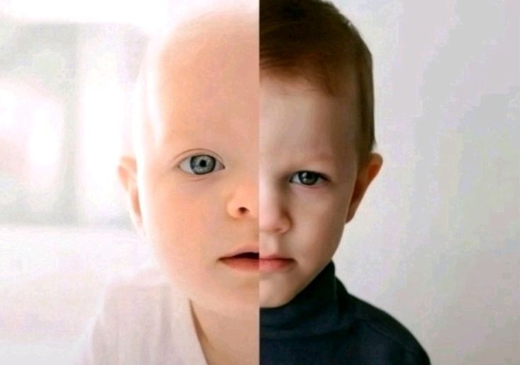 anzi 𐙚 tweet media