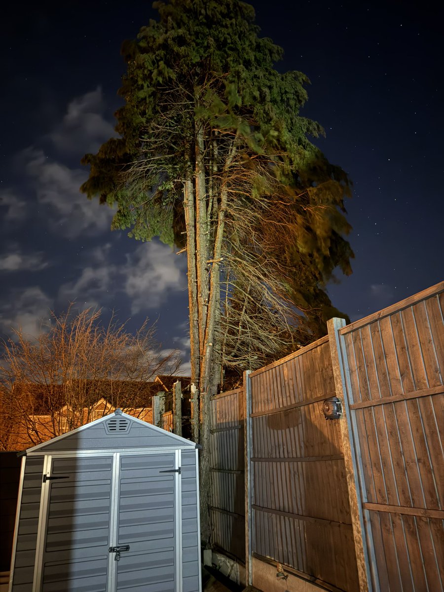 Alex K Phillips tweet media