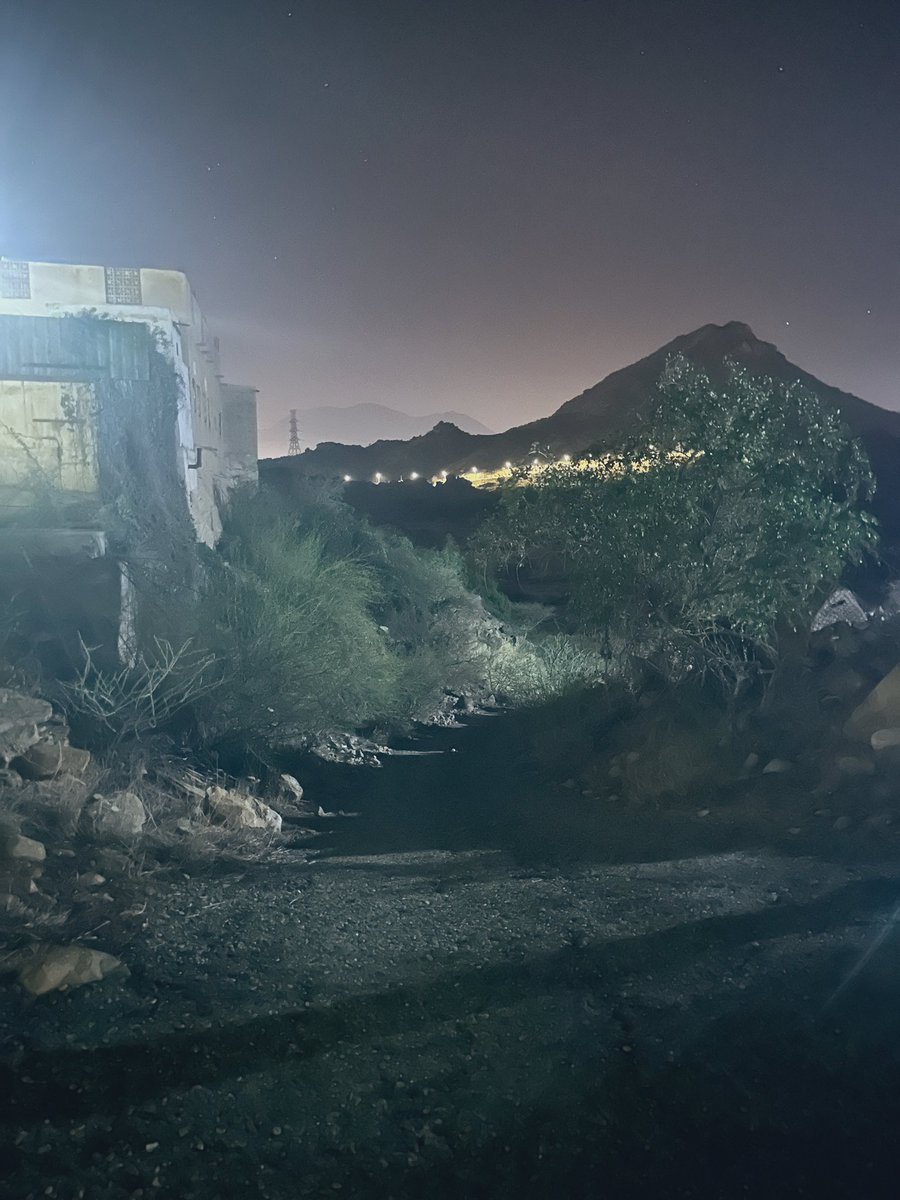 beauty 🧸 البتول tweet media