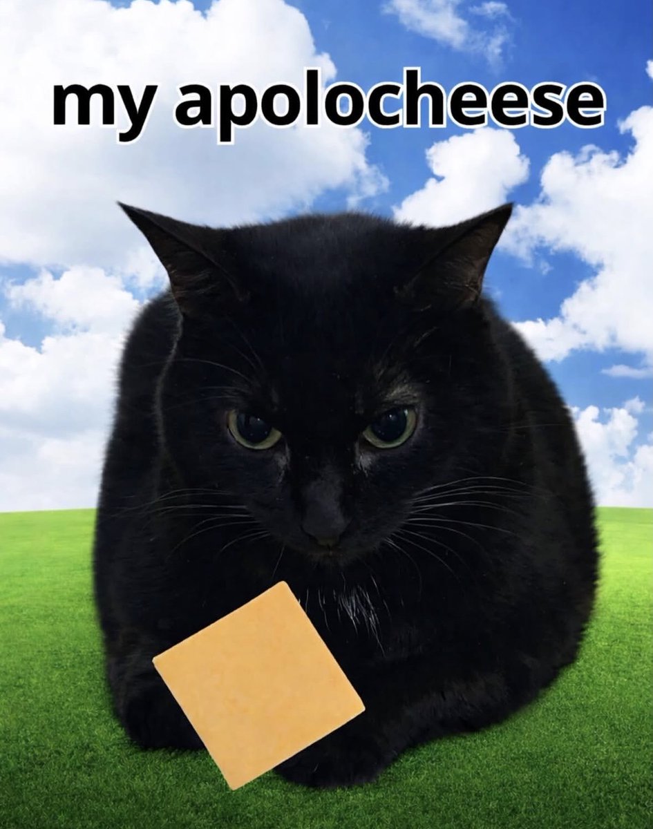 raccoon aesthetic. tweet media