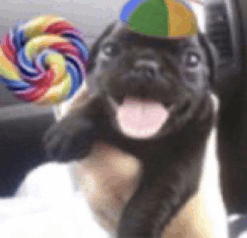 This Weeb 🐐 tweet media