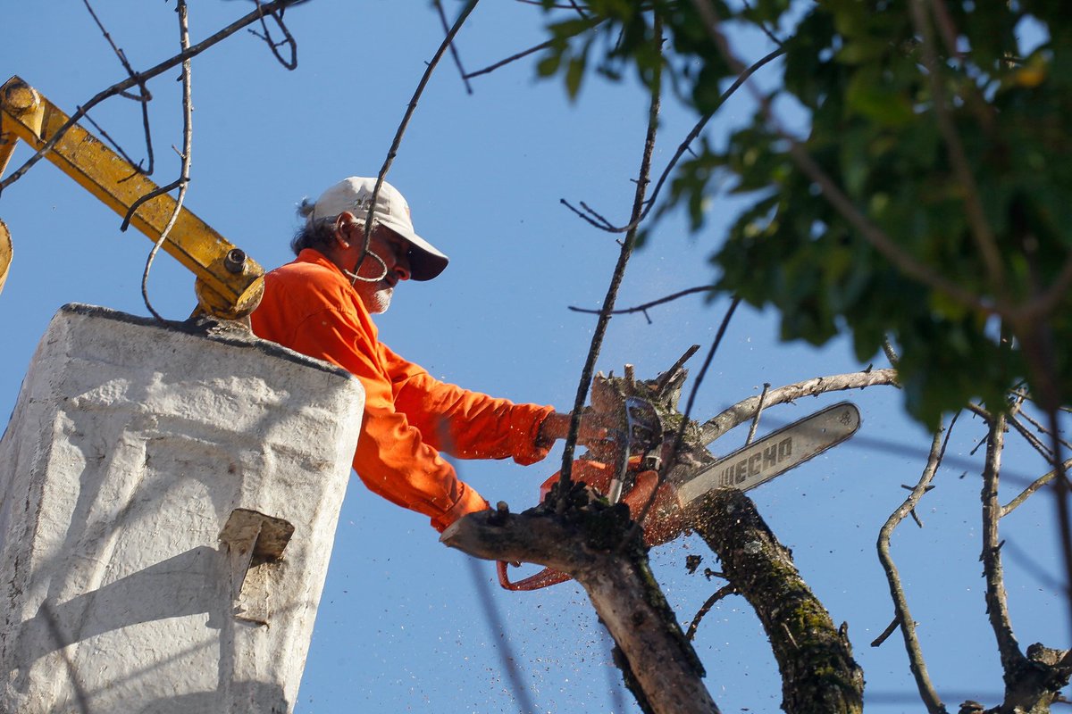 InfoMunicipios tweet media