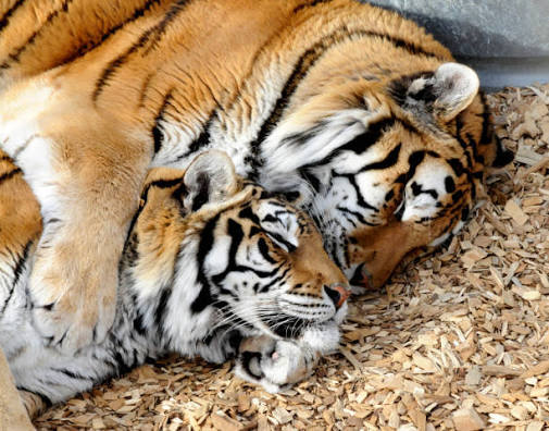 💛♡⡷⠂ʟɪɴ ʜᴜ⠐⢾♡💛 SLOW REPLIES tweet media