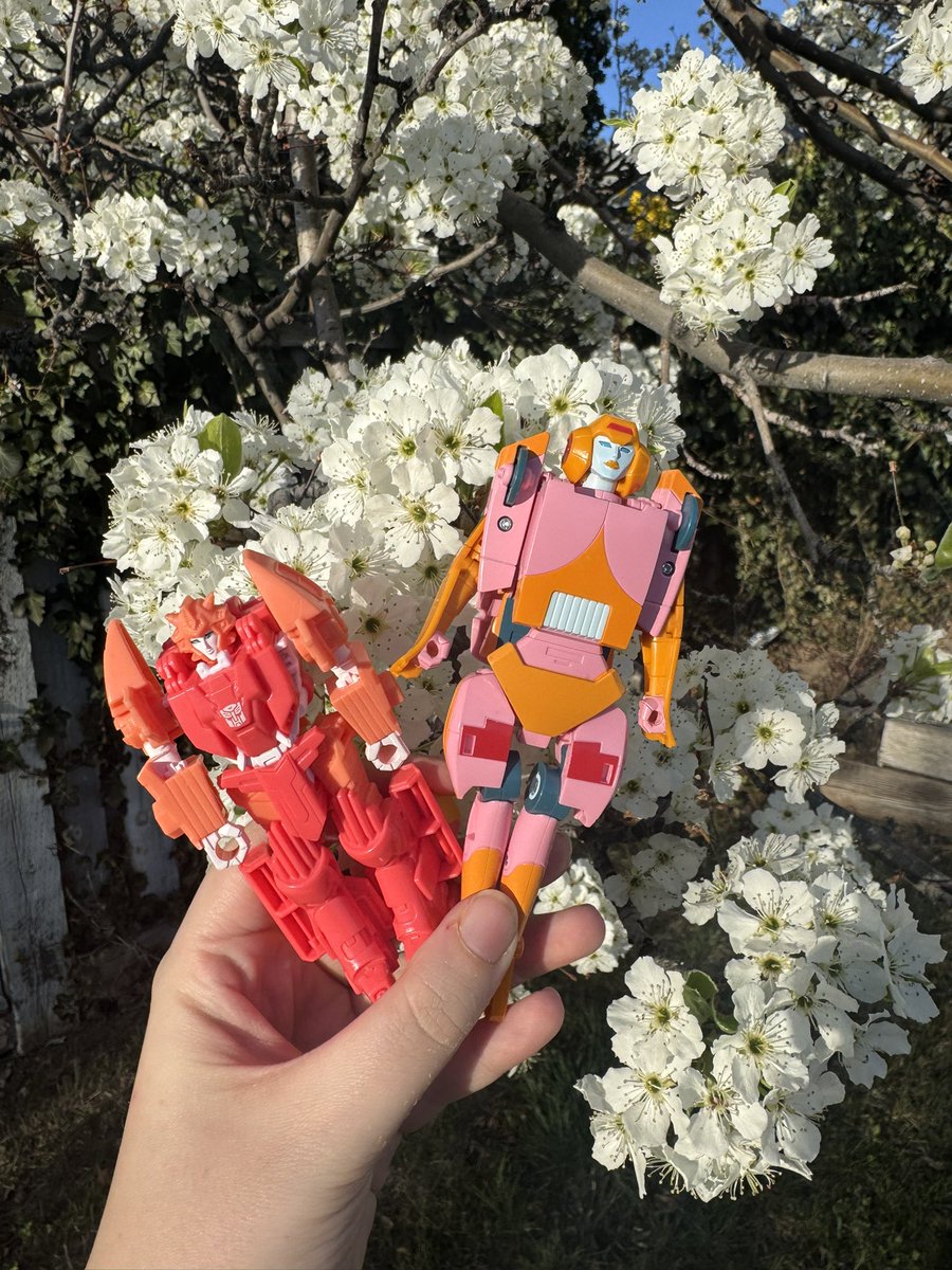 Dawn 🍀✨ tweet media