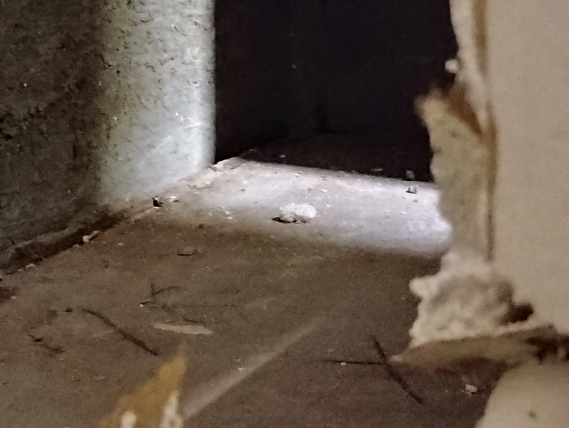 Occupy007's tweet photo. cc @FBISanDiego @LaraLogan @ElonMusk

The hidden steel plate described in the link below is marked 18 x 22 with a black marker, and I believe there is a underground room or tunnel under it, possibly with stairs. The top left corner of the steel plate in picture is under 2 feet away from the shower in the master bedroom, where disturbing child abuse sounds come out from the drain pipe, as described in this https://t.co/flVNLXJv2v posting⚖️