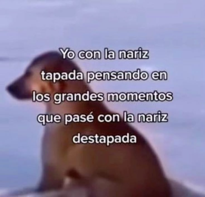 itsD3lay🐧 tweet media