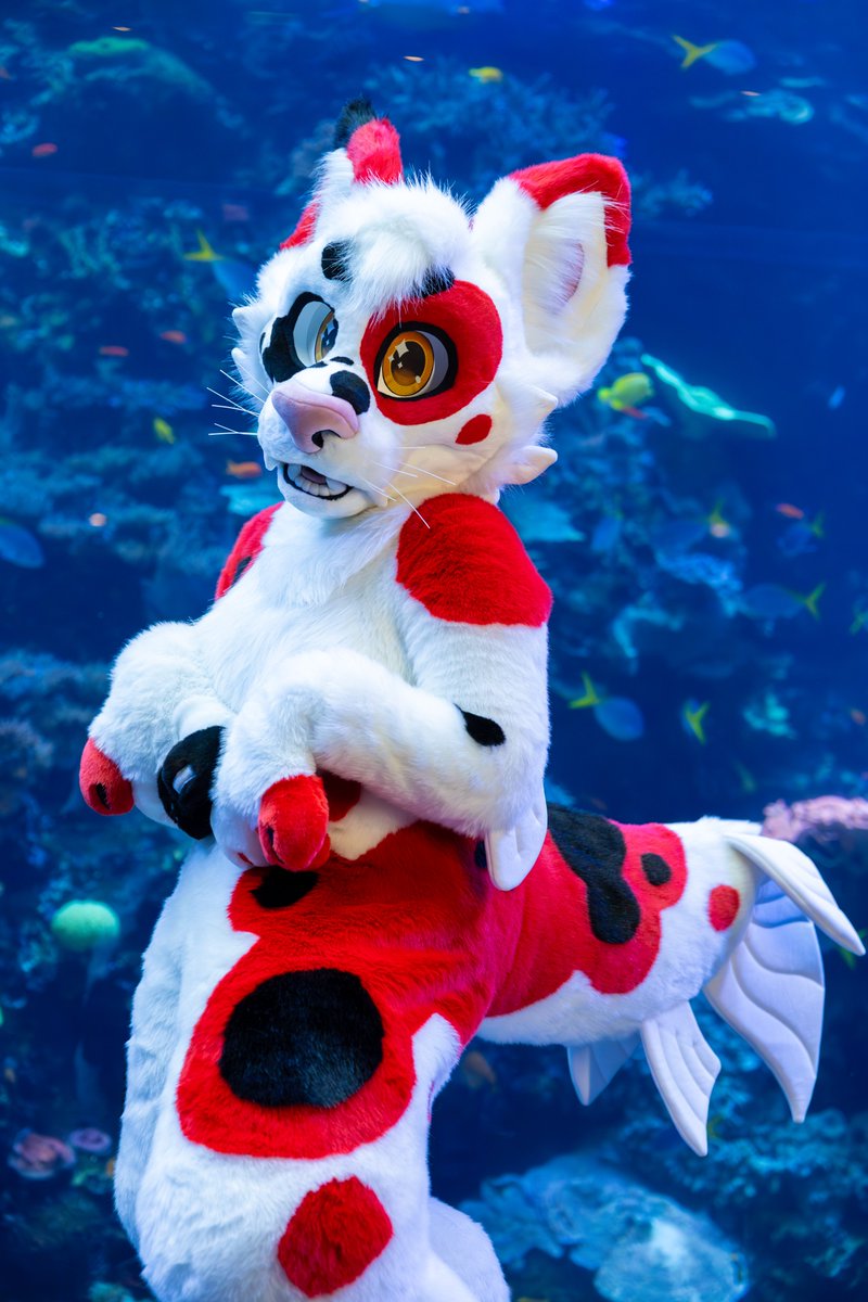 ✨ Ten ✨ Also on 🦋☁️💙 tweet media