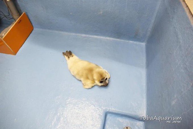 january febuary moss april .𖥔 ݁ ˖ tweet media