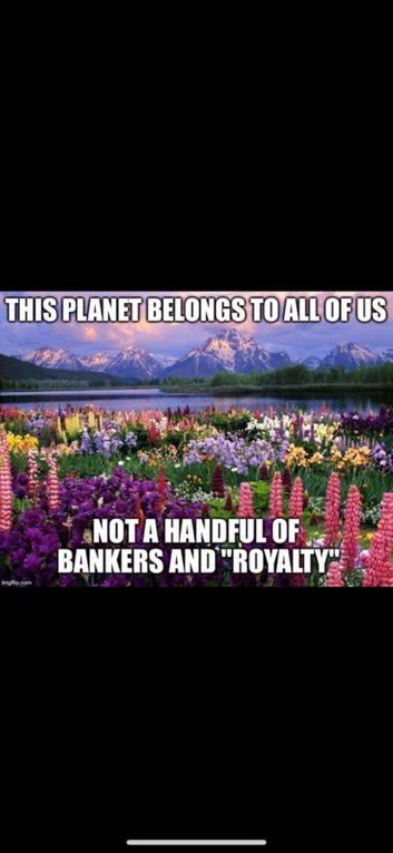 Shinning Star tweet media