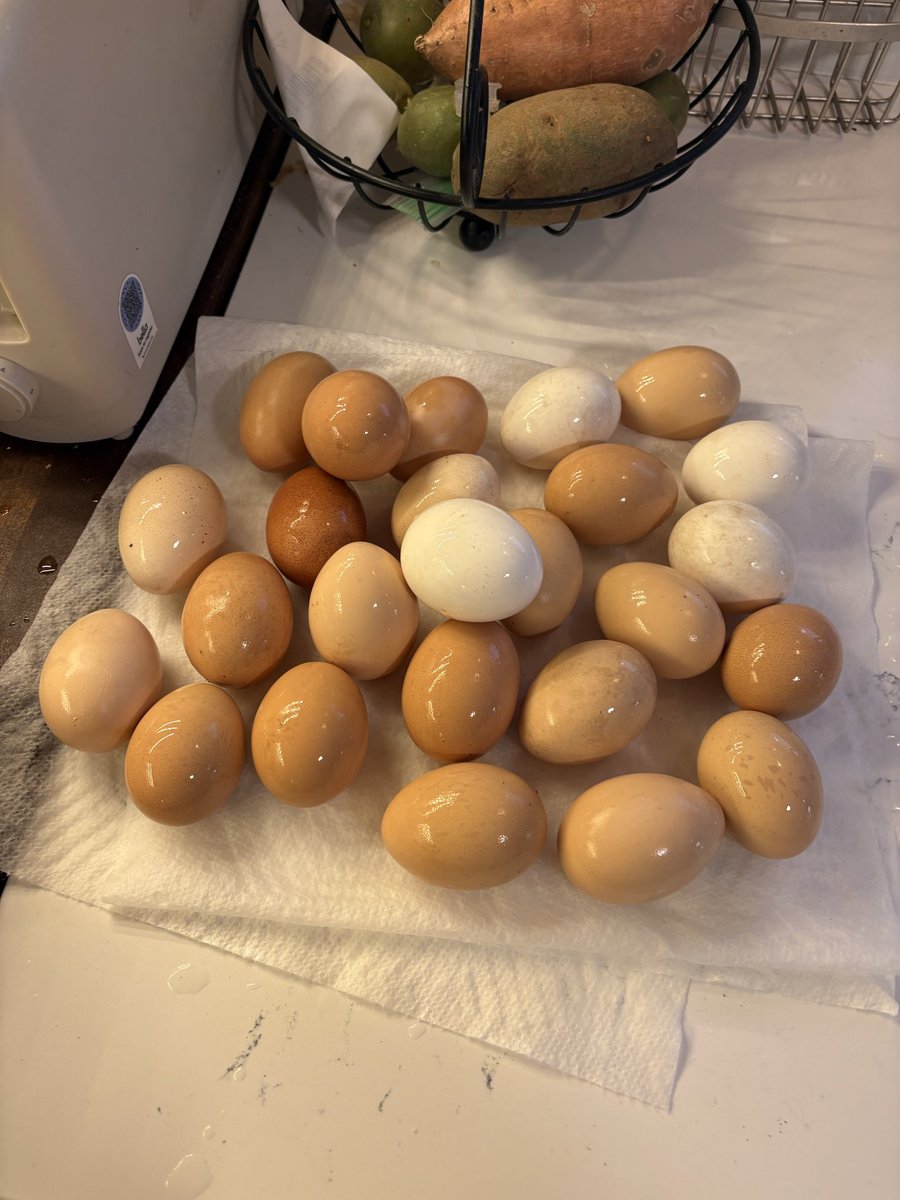 Michael J tweet media