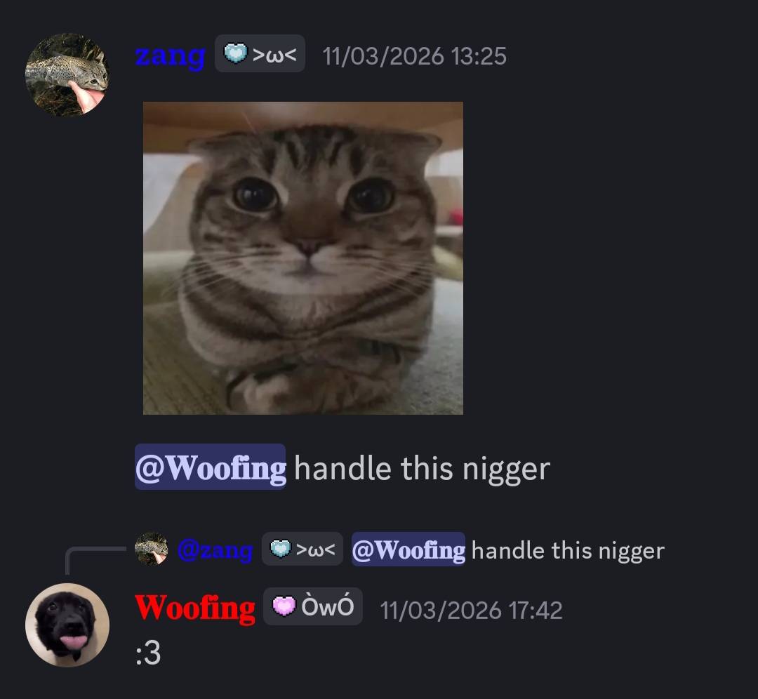 BajaBlastahhh tweet media