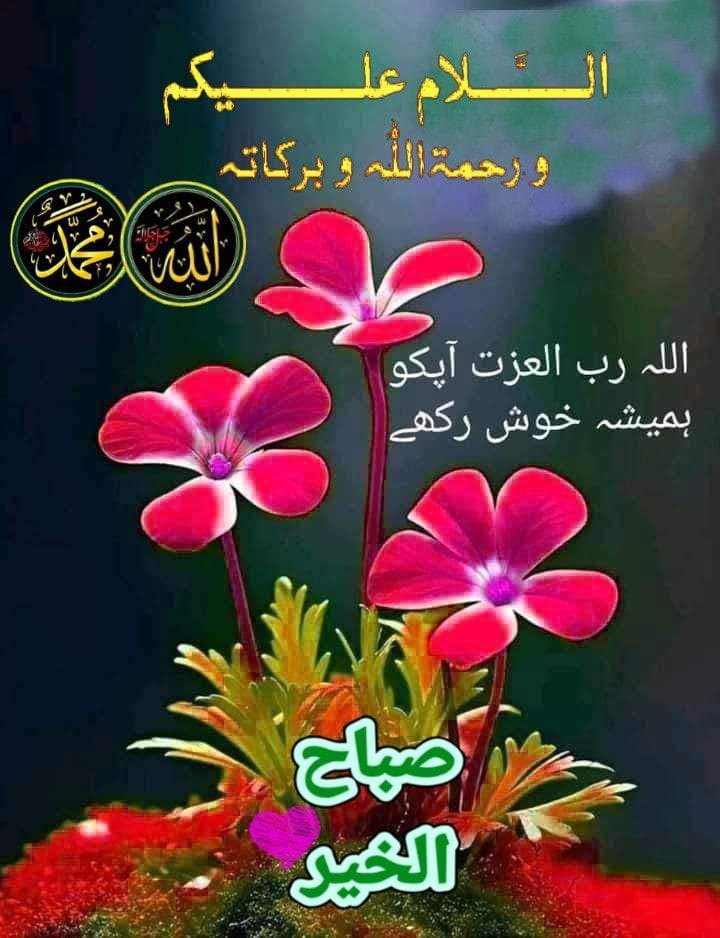 Altaf Hussain tweet media