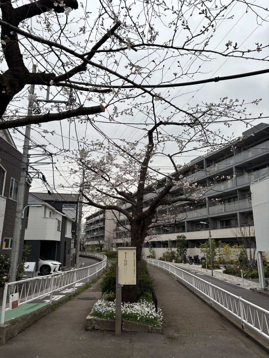 megurosen1111 tweet media