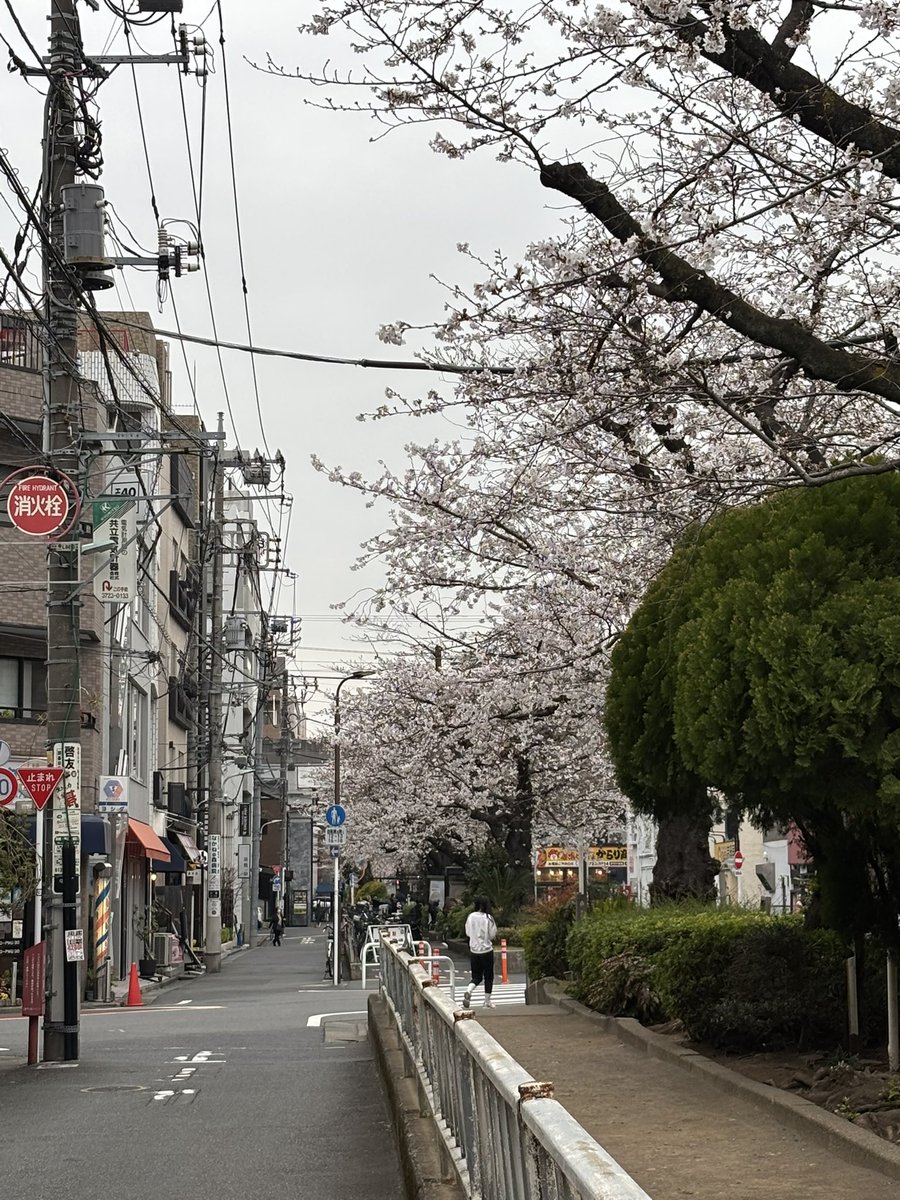 megurosen1111 tweet media