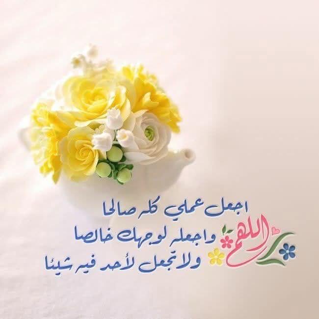 nona zain tweet media