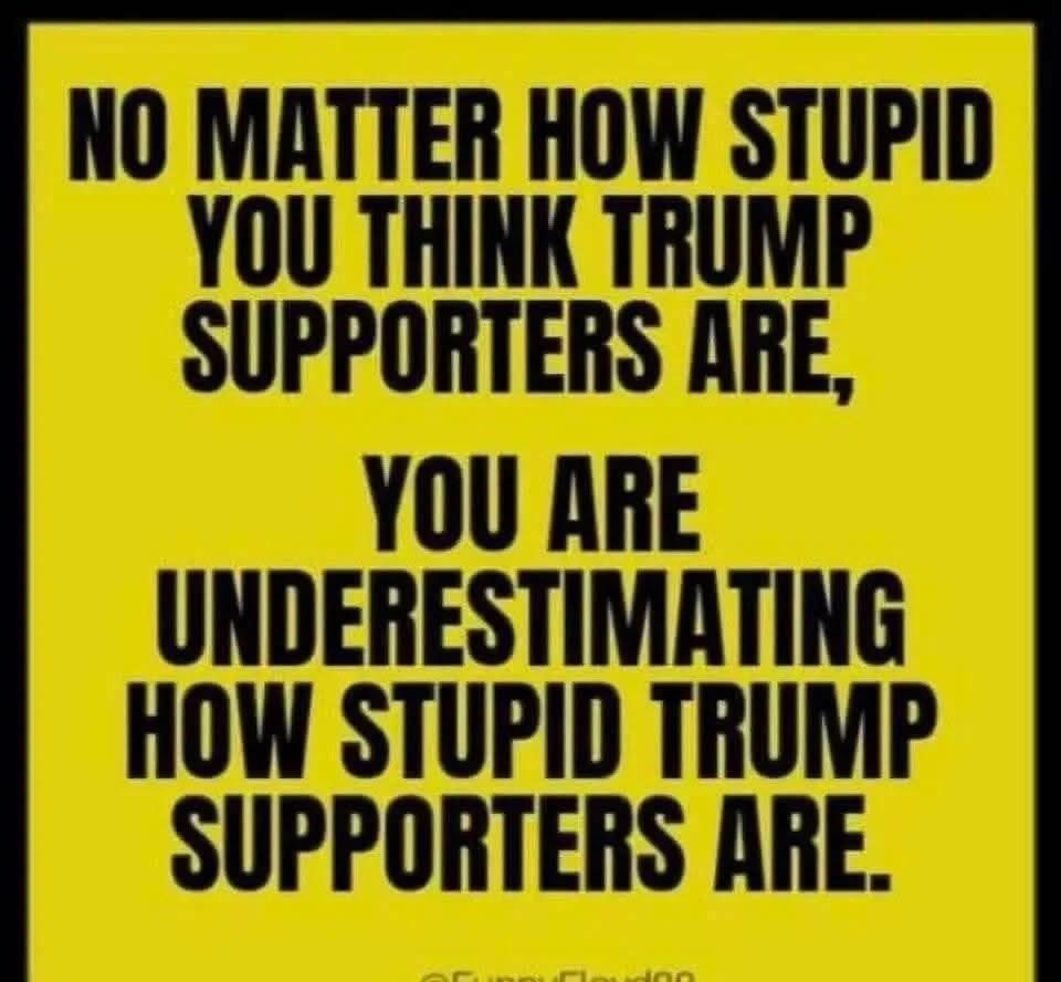 Free Dumb tweet media