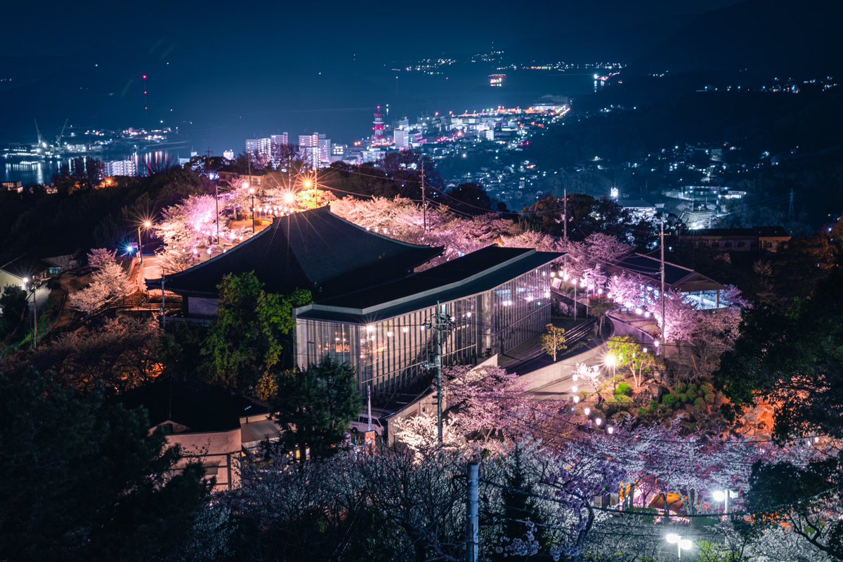ゆうとの風景 tweet media