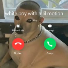 CRYPTOWARRIOR tweet media