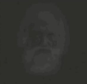 normalbear tweet media