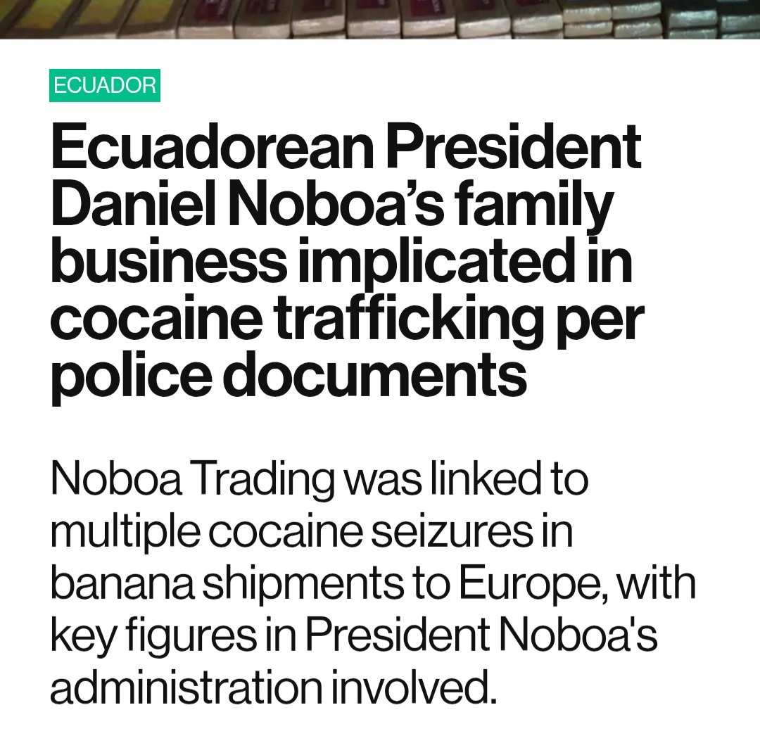 Ben Norton tweet media