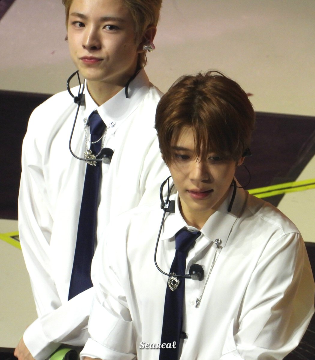 Sєɑʀєɑℓ tweet media