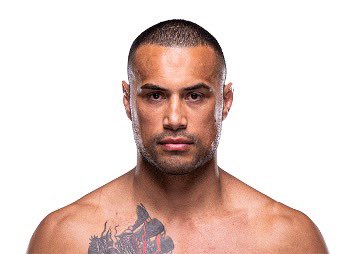 Blind Bear 🐻🕶️ tweet media