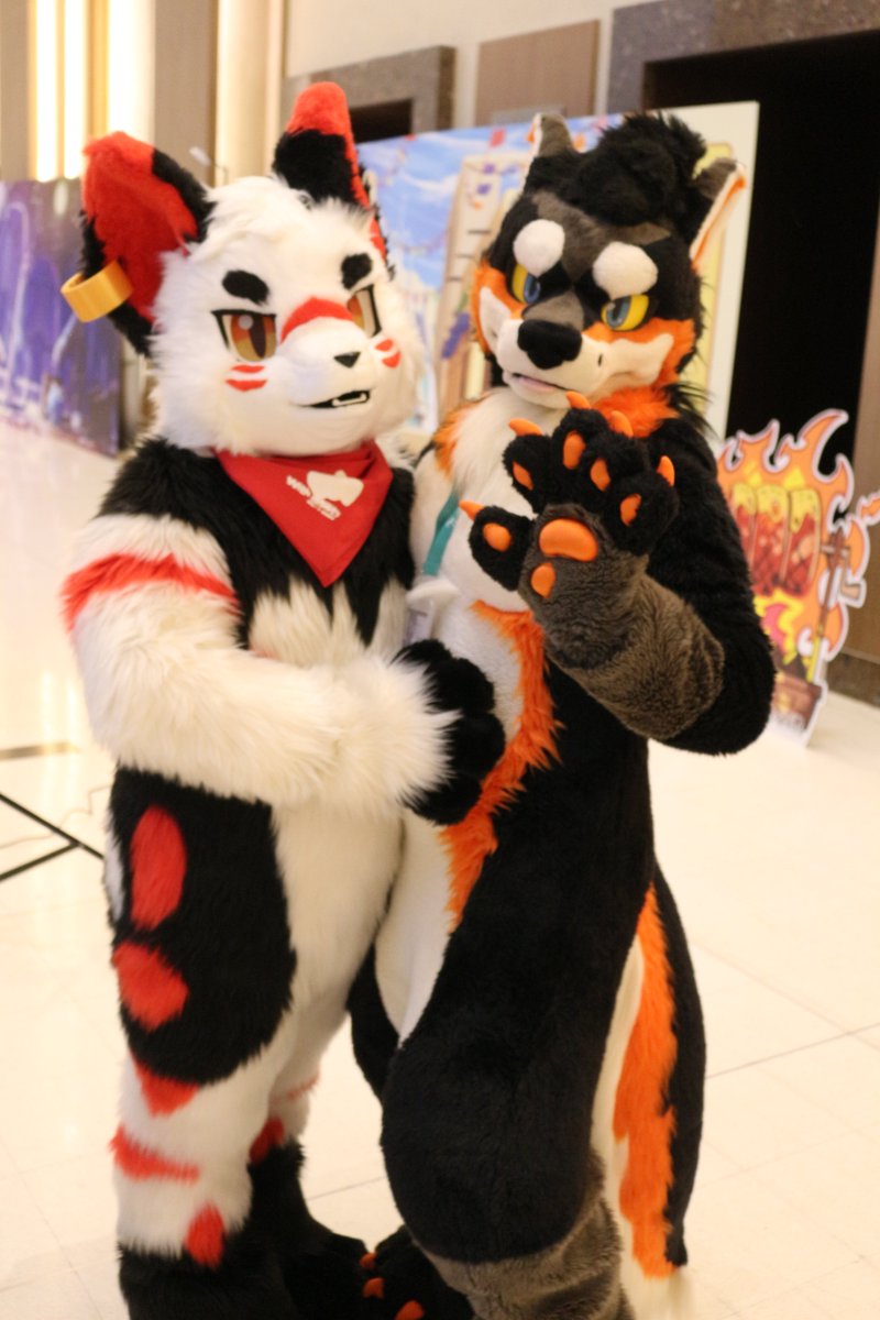 是政　KOREMASA tweet media