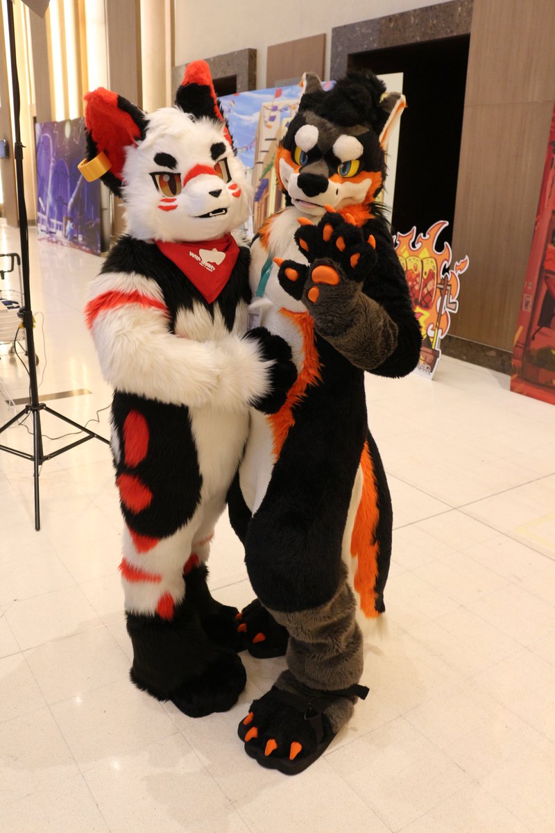 是政　KOREMASA tweet media