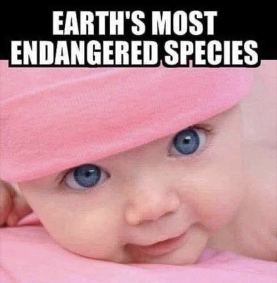 Lozzy B 🇦🇺𝕏 tweet media