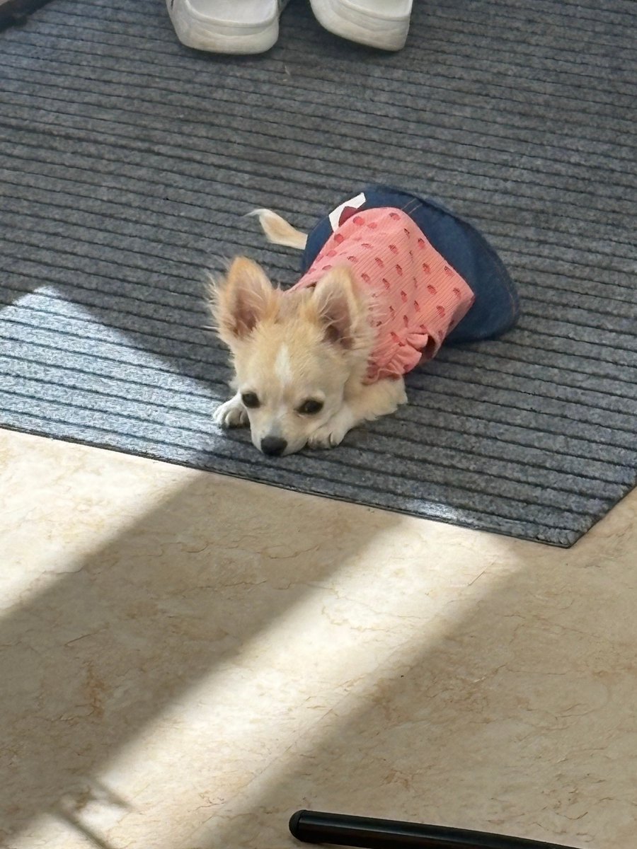 合同会社エースプランニング tweet media