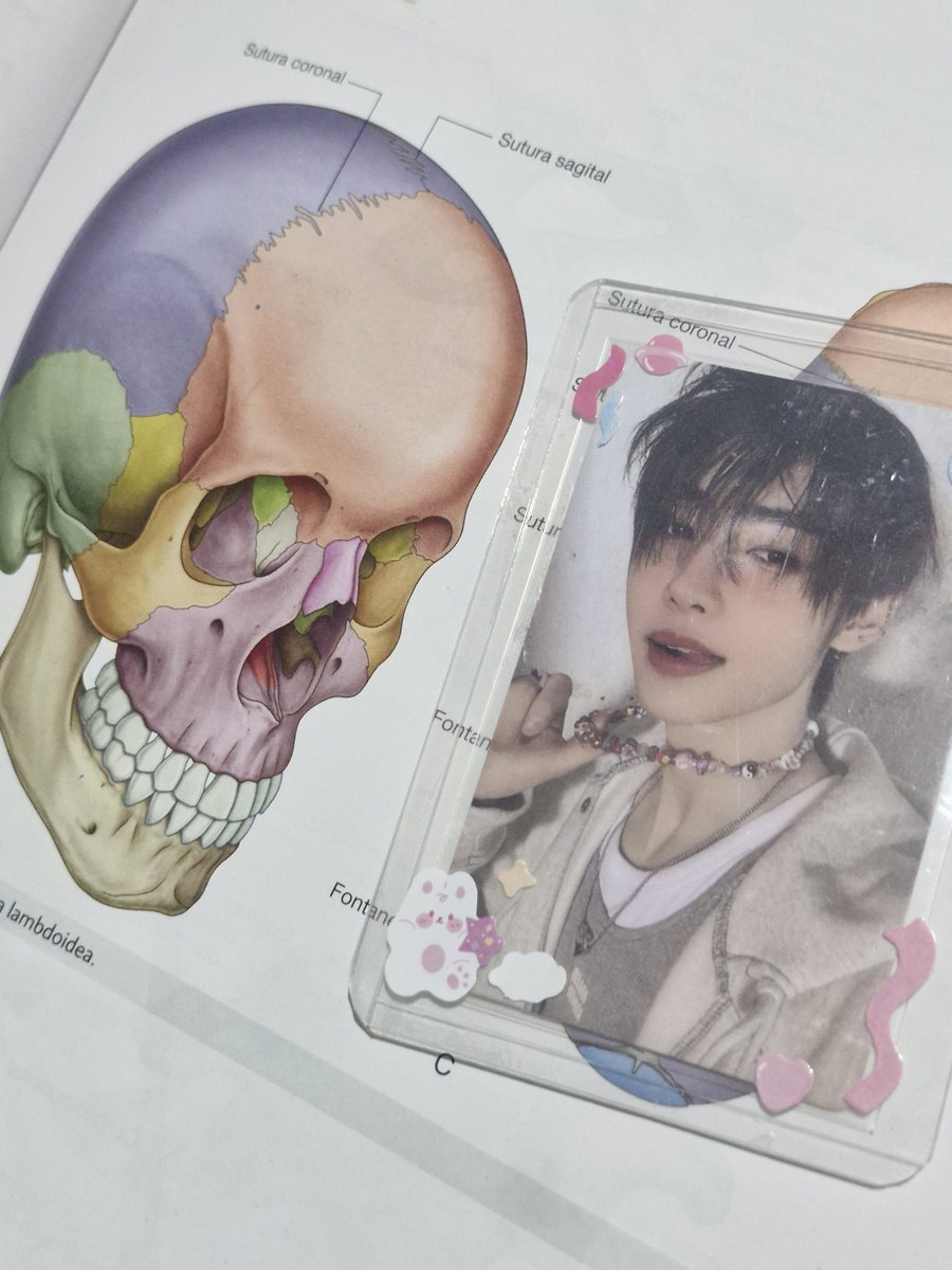 sarin | ENHYPEN IS 7 tweet media