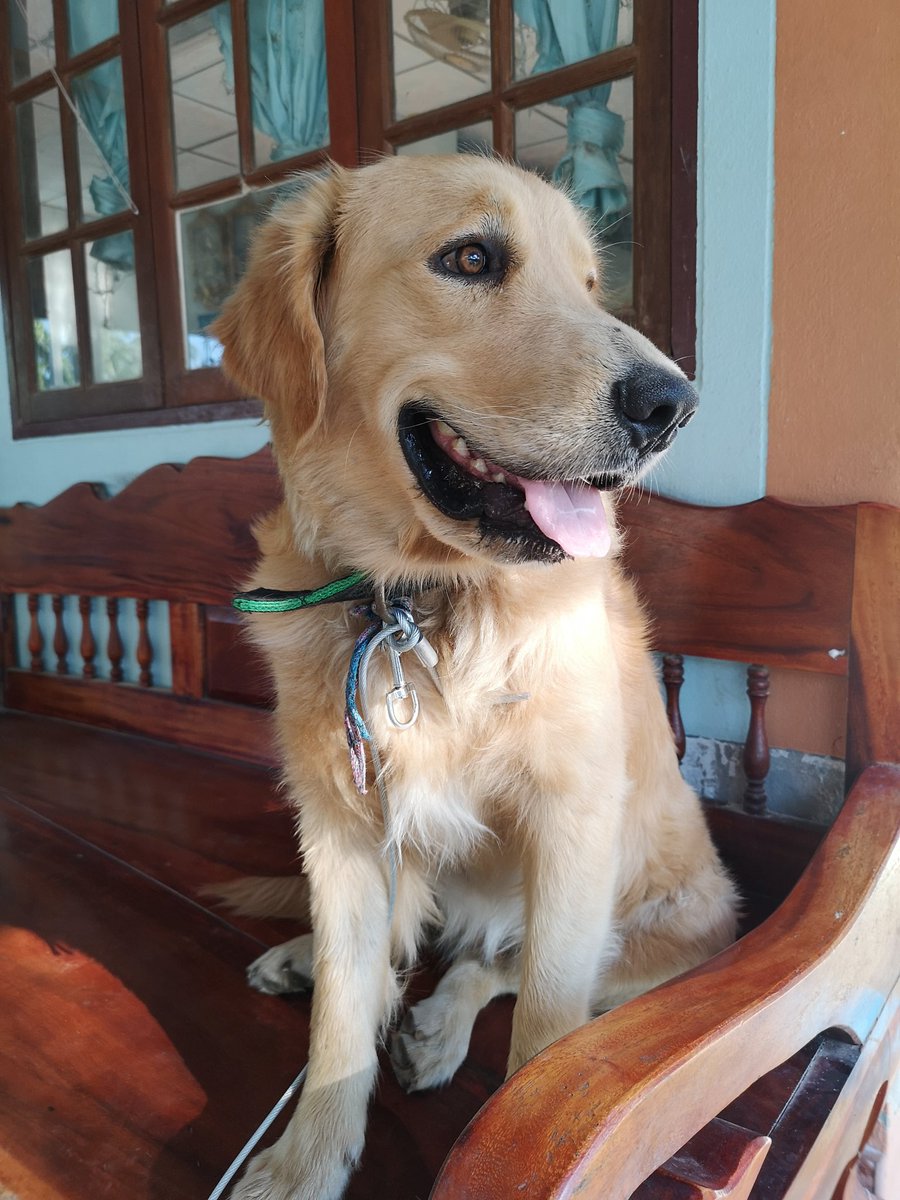 gardener tweet media