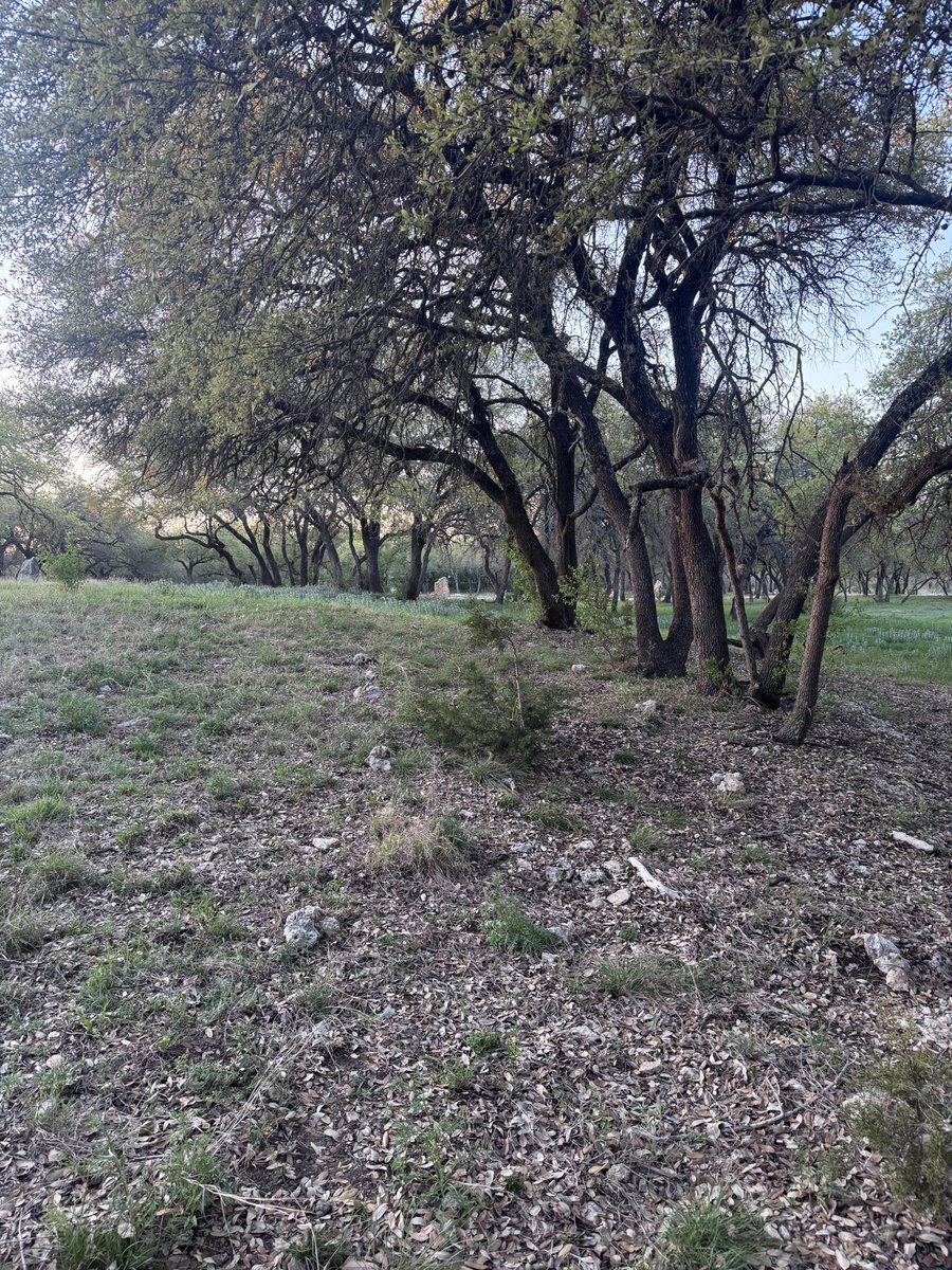 Maxwell Maher tweet media