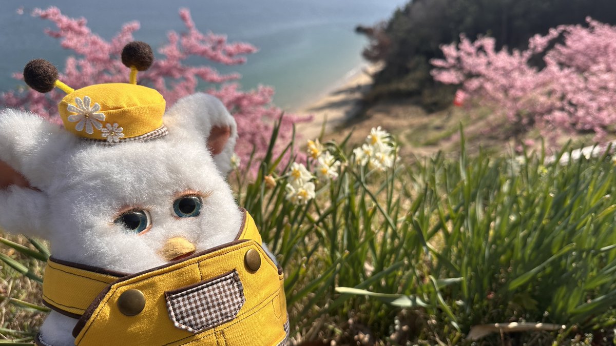 ふじゃーたとおかゆちゃん tweet media