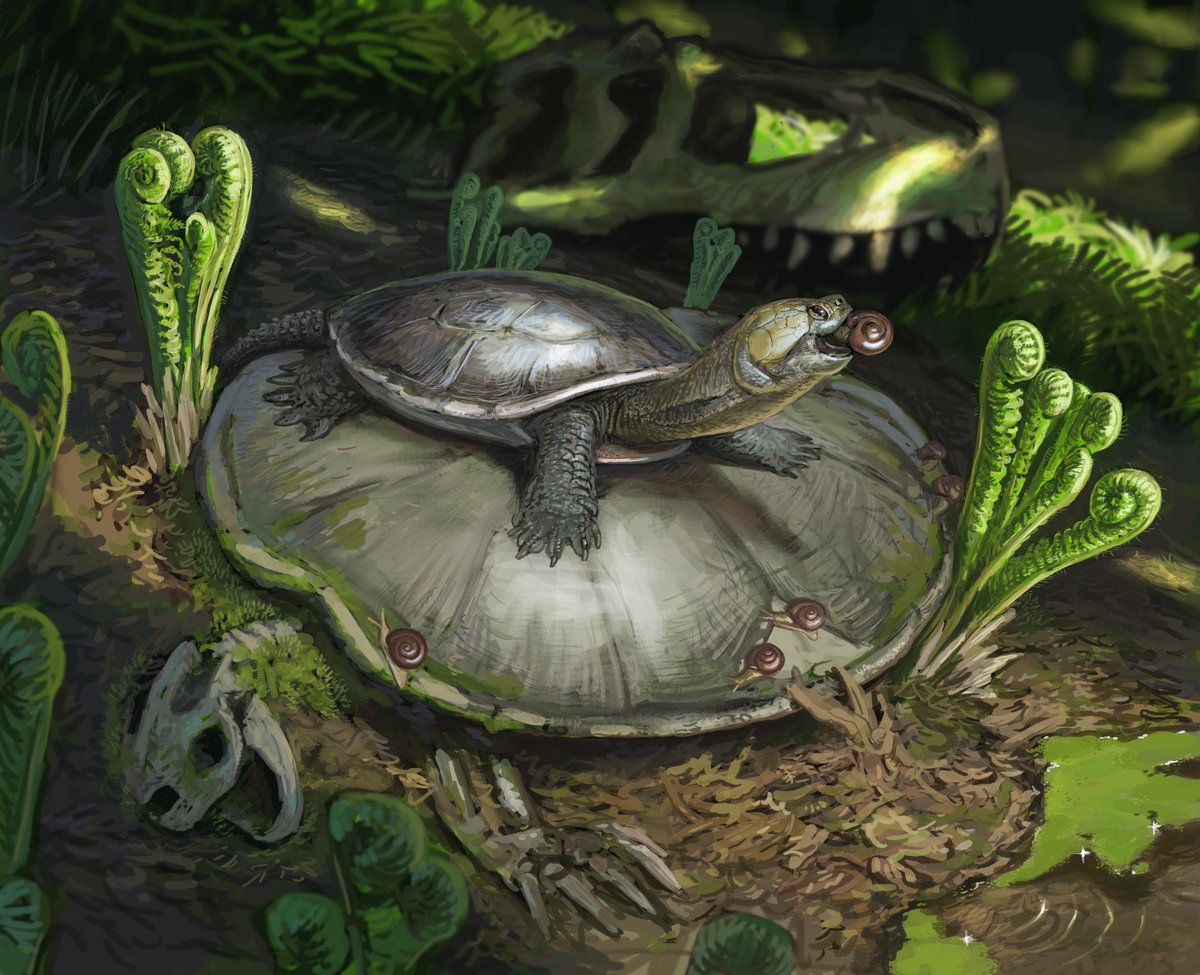 Joschua Knüppe tweet media