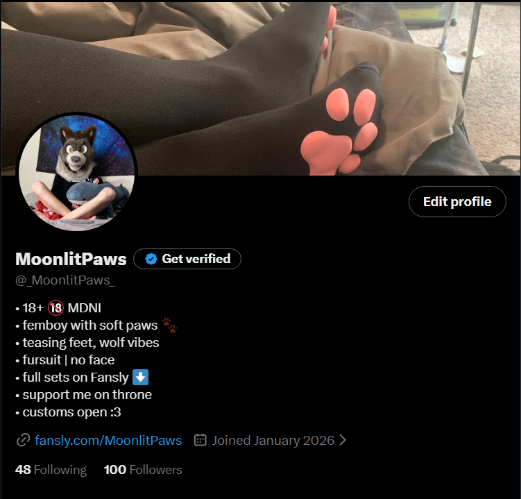 MoonlitPaws tweet media