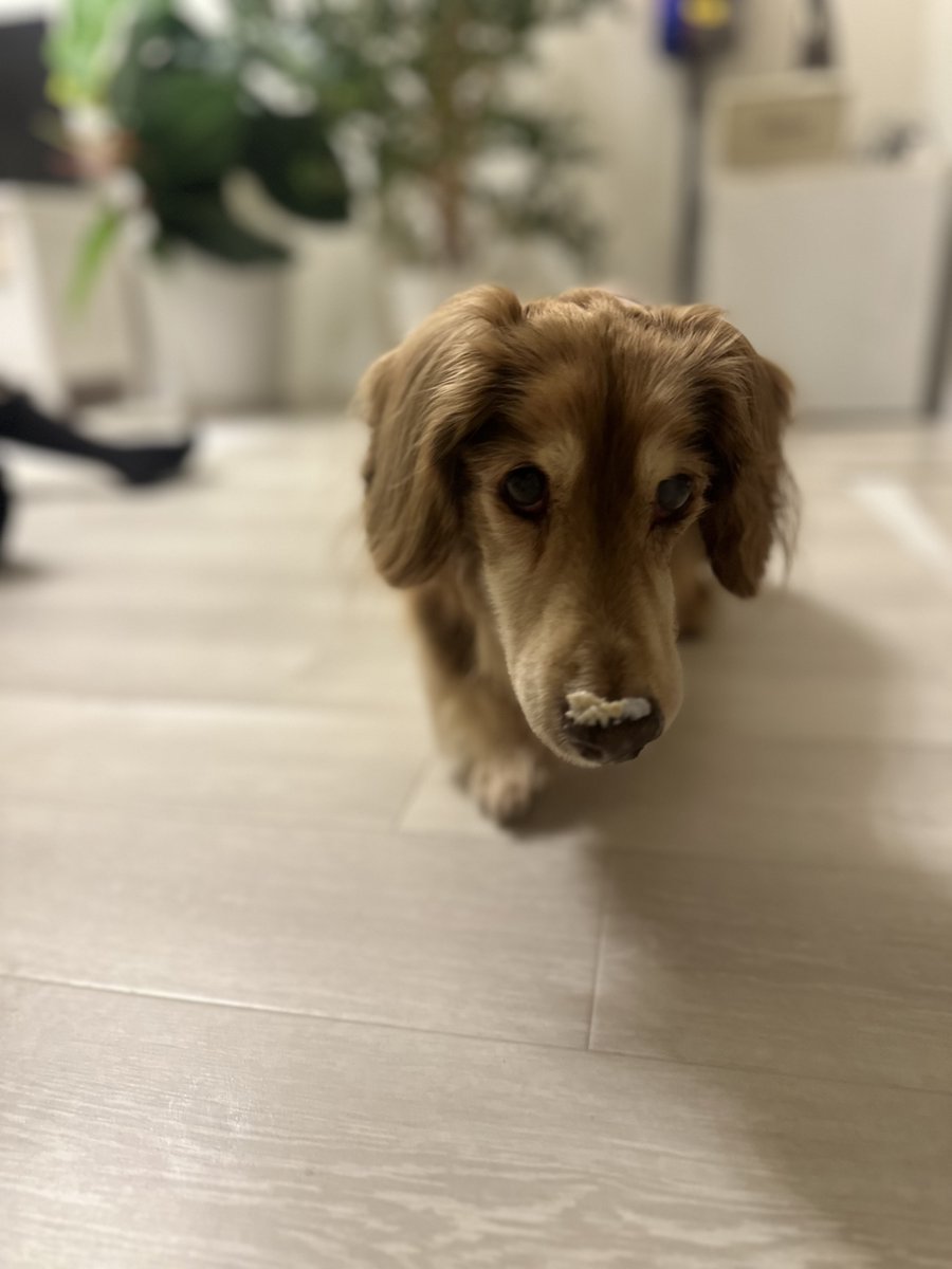 川口直人（競輪選手、神奈川） tweet media