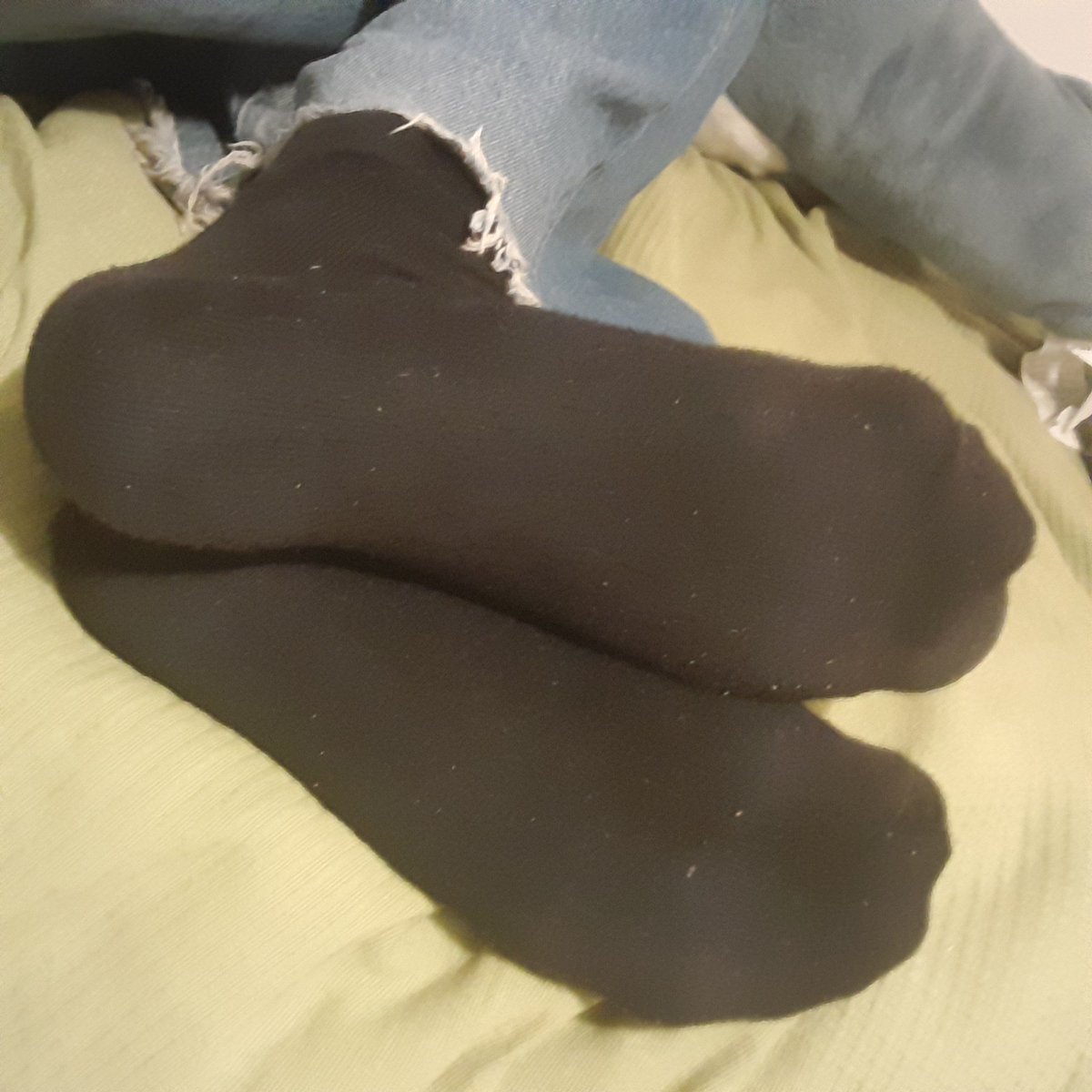 puppypause tweet media