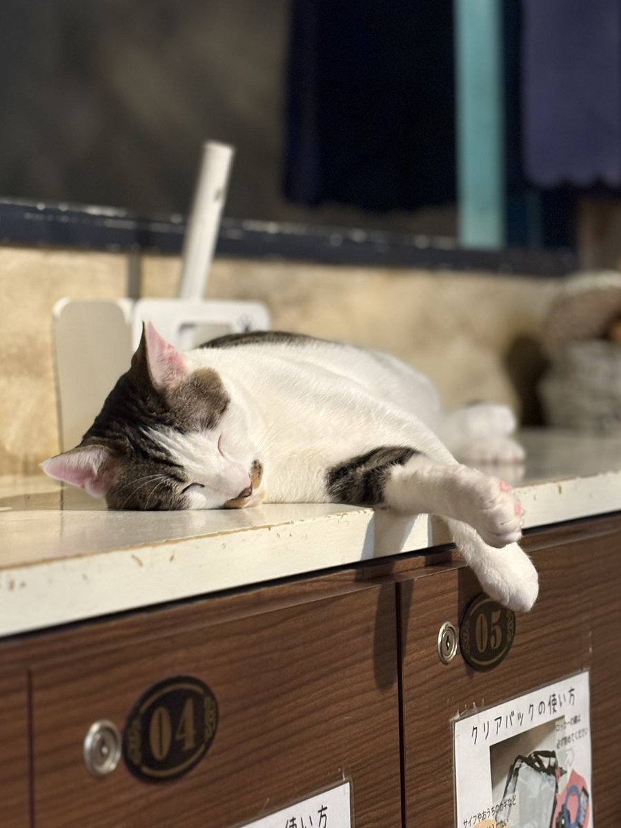 あさひ tweet media