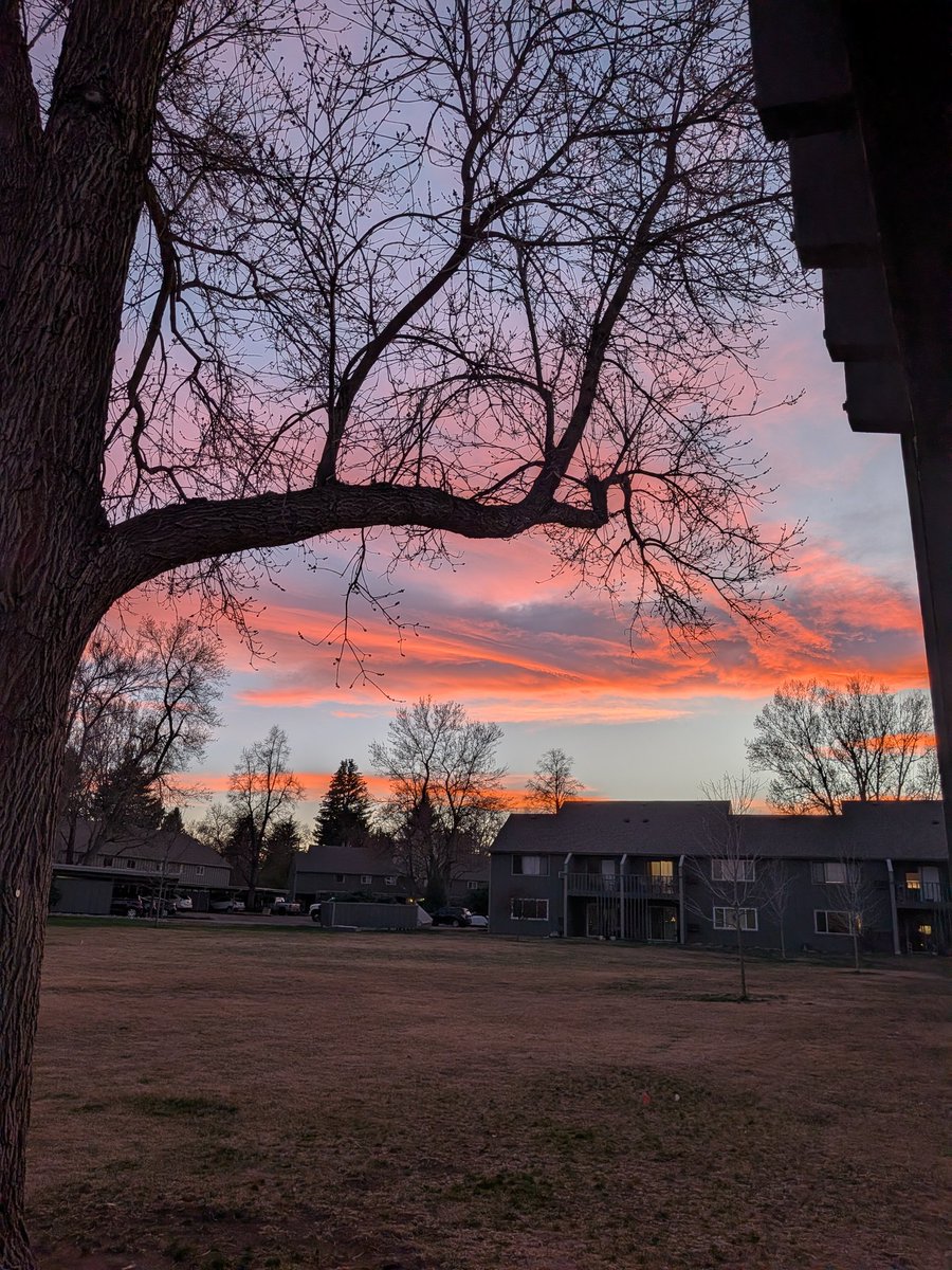 Leah but ¯\_(ツ)_/¯🌈🎃 tweet media